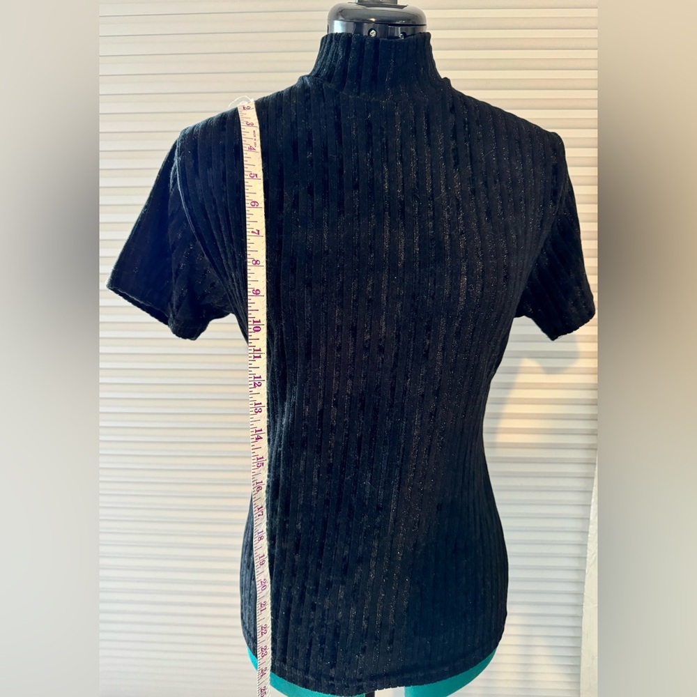Kitty Hawk by Vivian Wang. Crew neck velvet top. Festive/formal. Size L